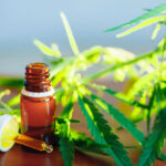 achat de fleurs de CBD en ligne