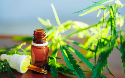 achat de fleurs de CBD en ligne